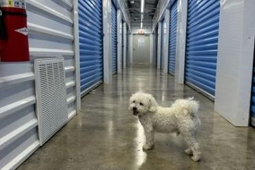 Storage Image 1